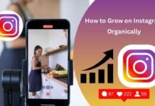 How to Grow on Instagram Organically How to Grow on Instagram Organically